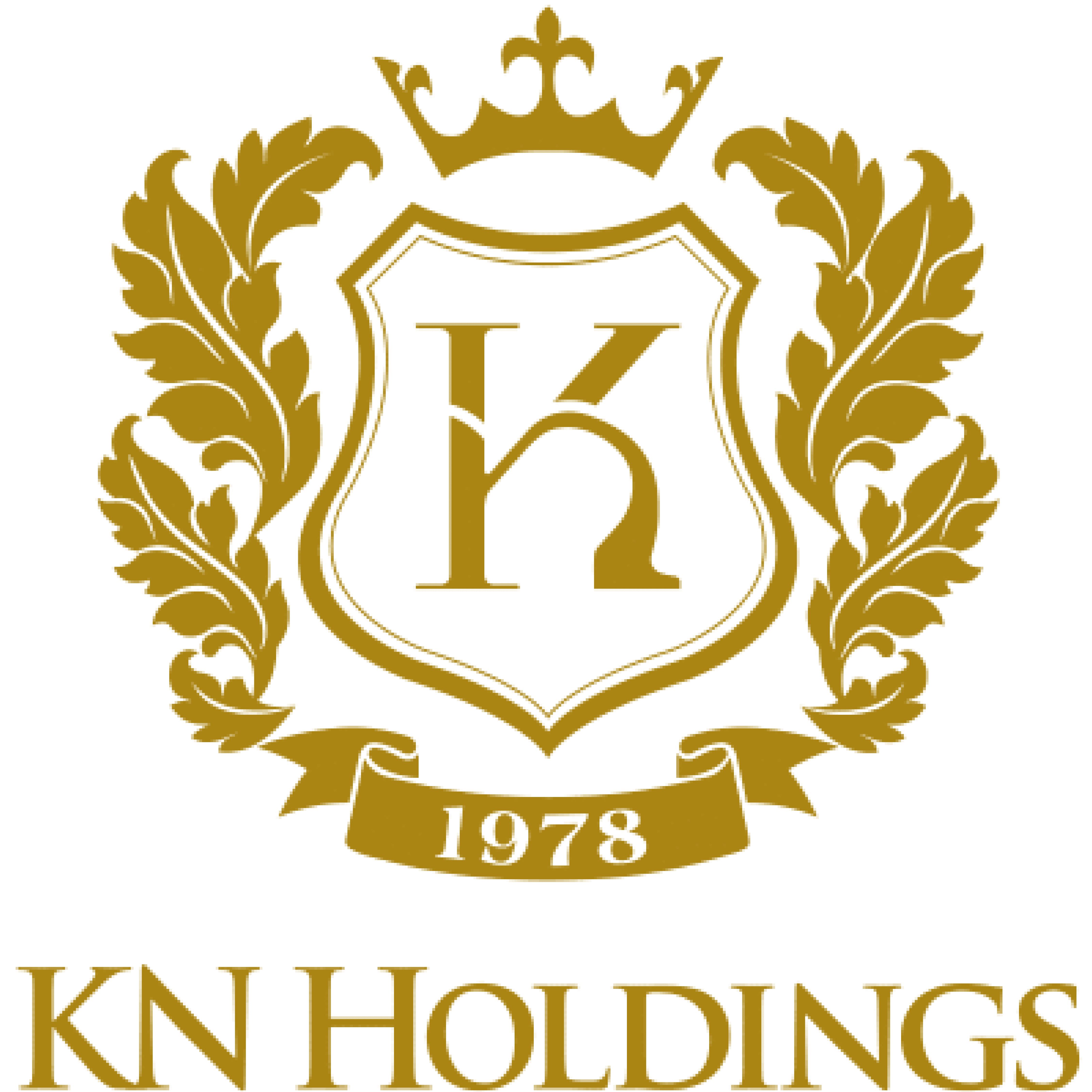 11.KN HOLDINGS_Corporate Logo for Website_Corporate Logo on Web