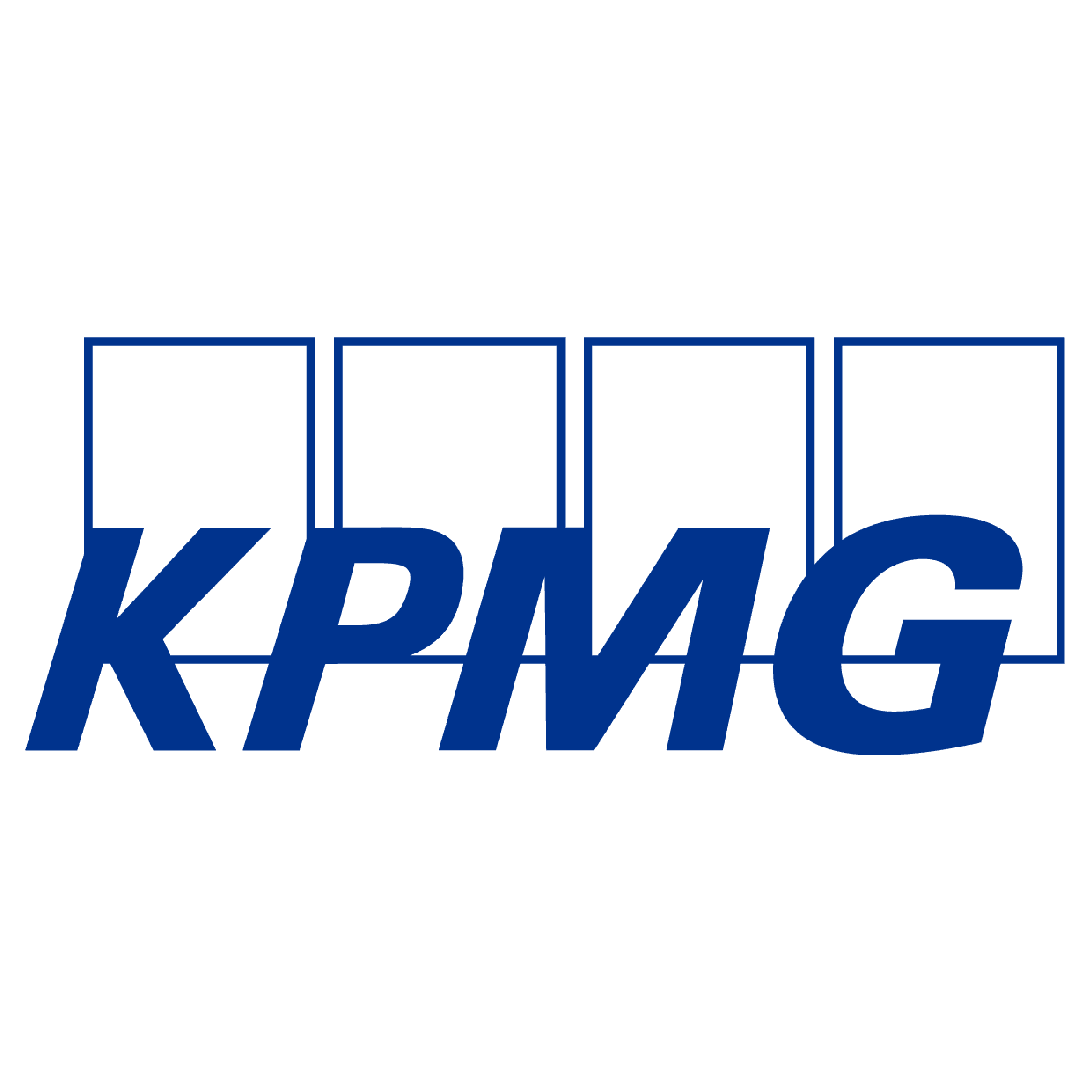 11.KPMG_Corporate Logo on Web