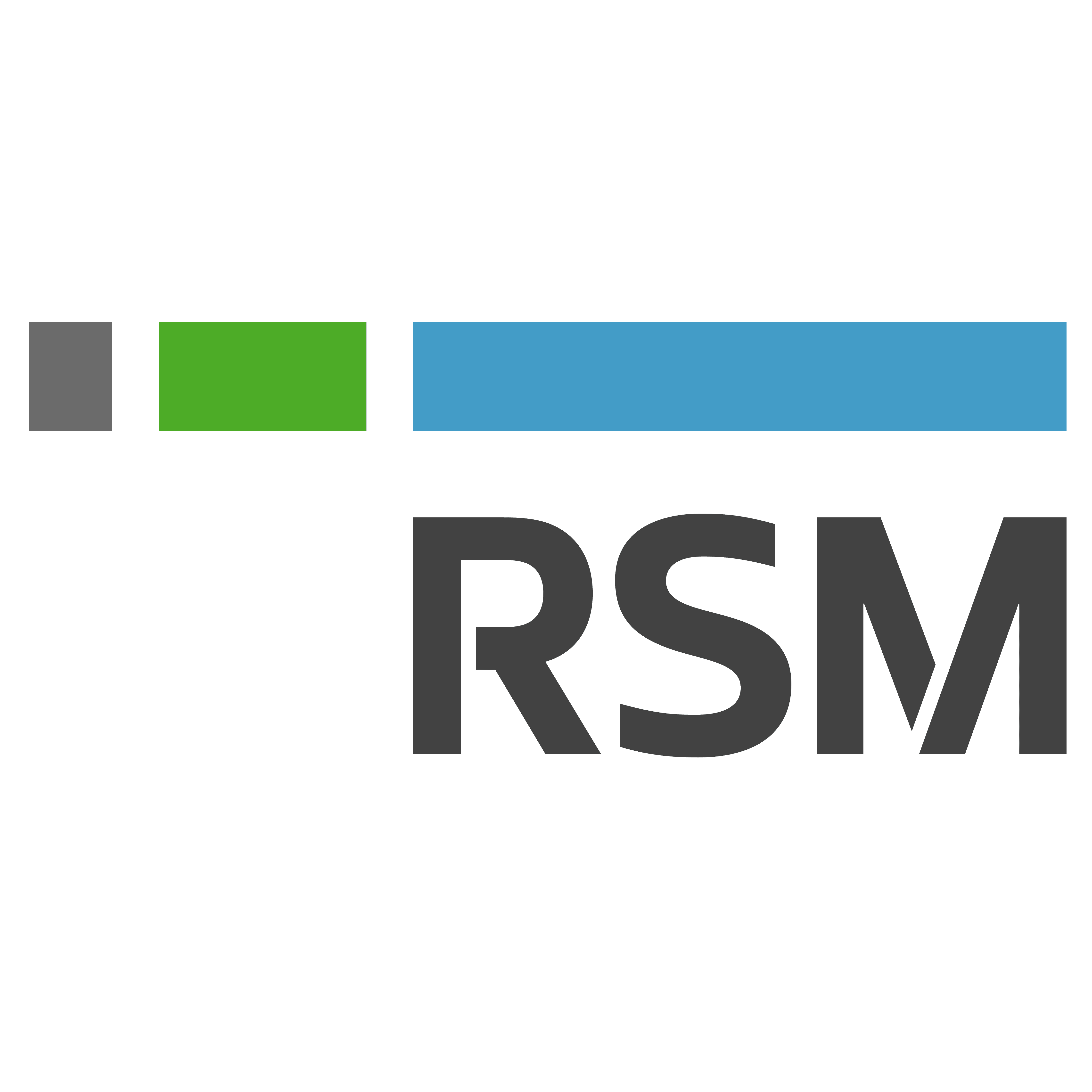 18.RSM_Corporate Logo on Web