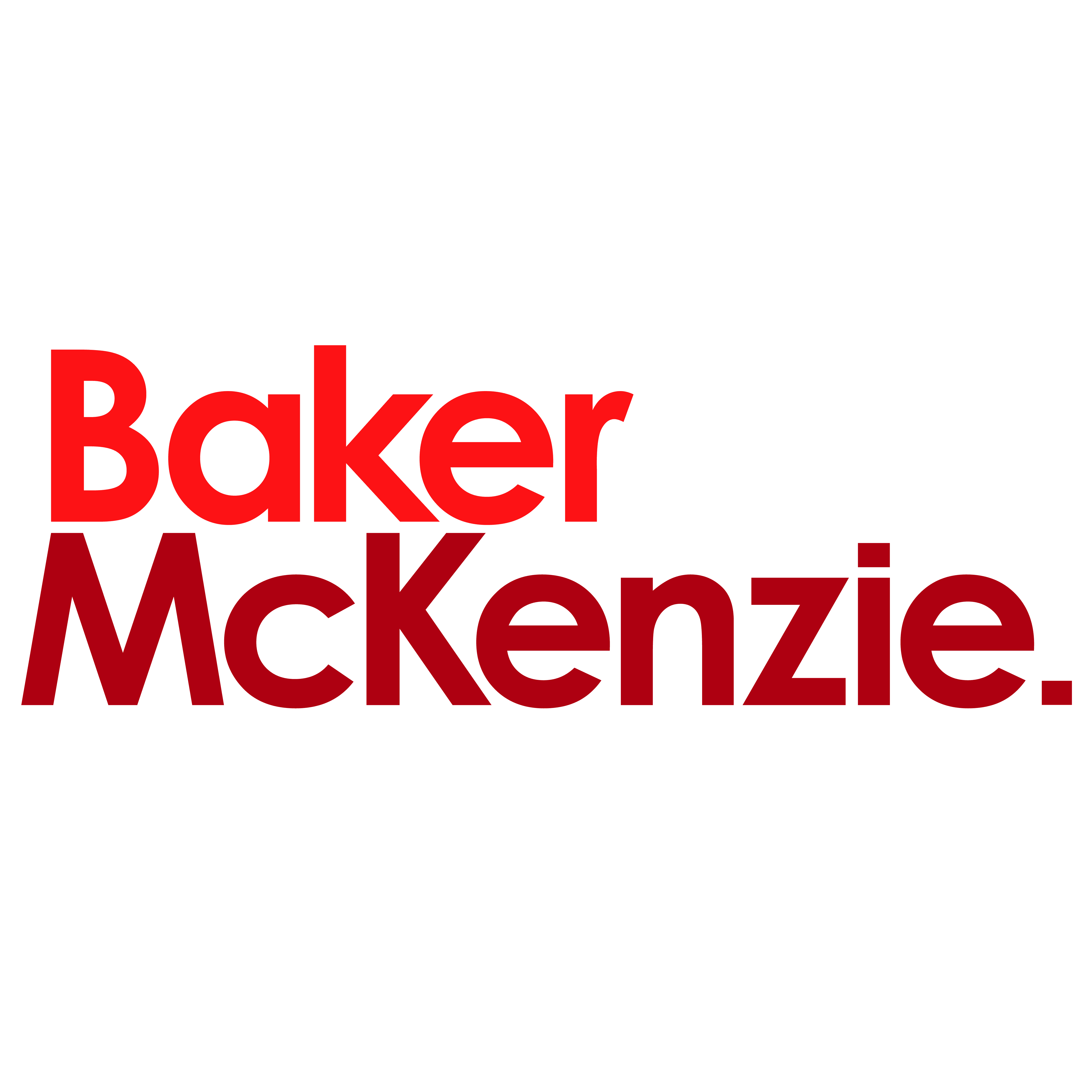 2.BakerMcKenzieVN_Corporate Logo on Web
