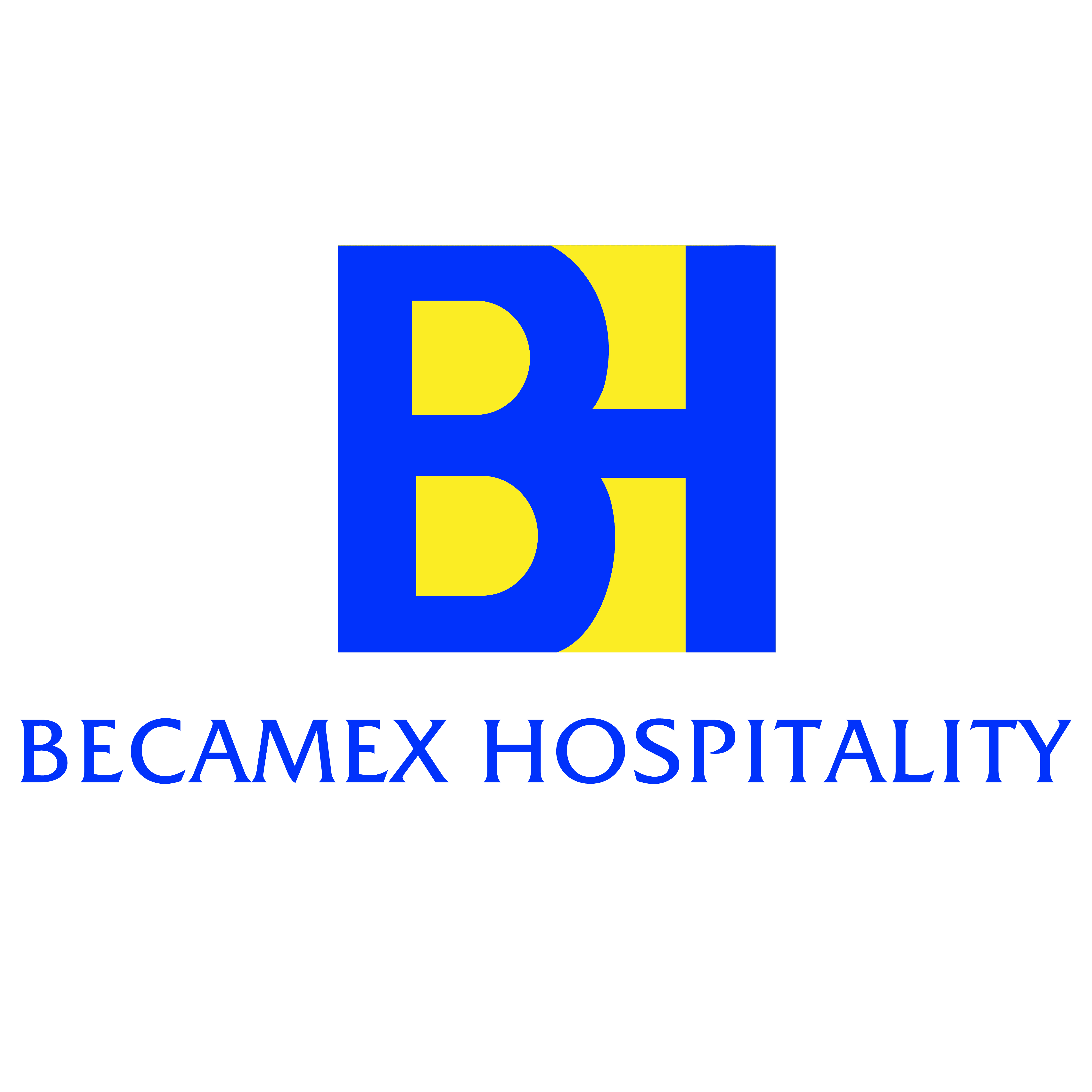 2.Becamex_Corporate Logo on Web