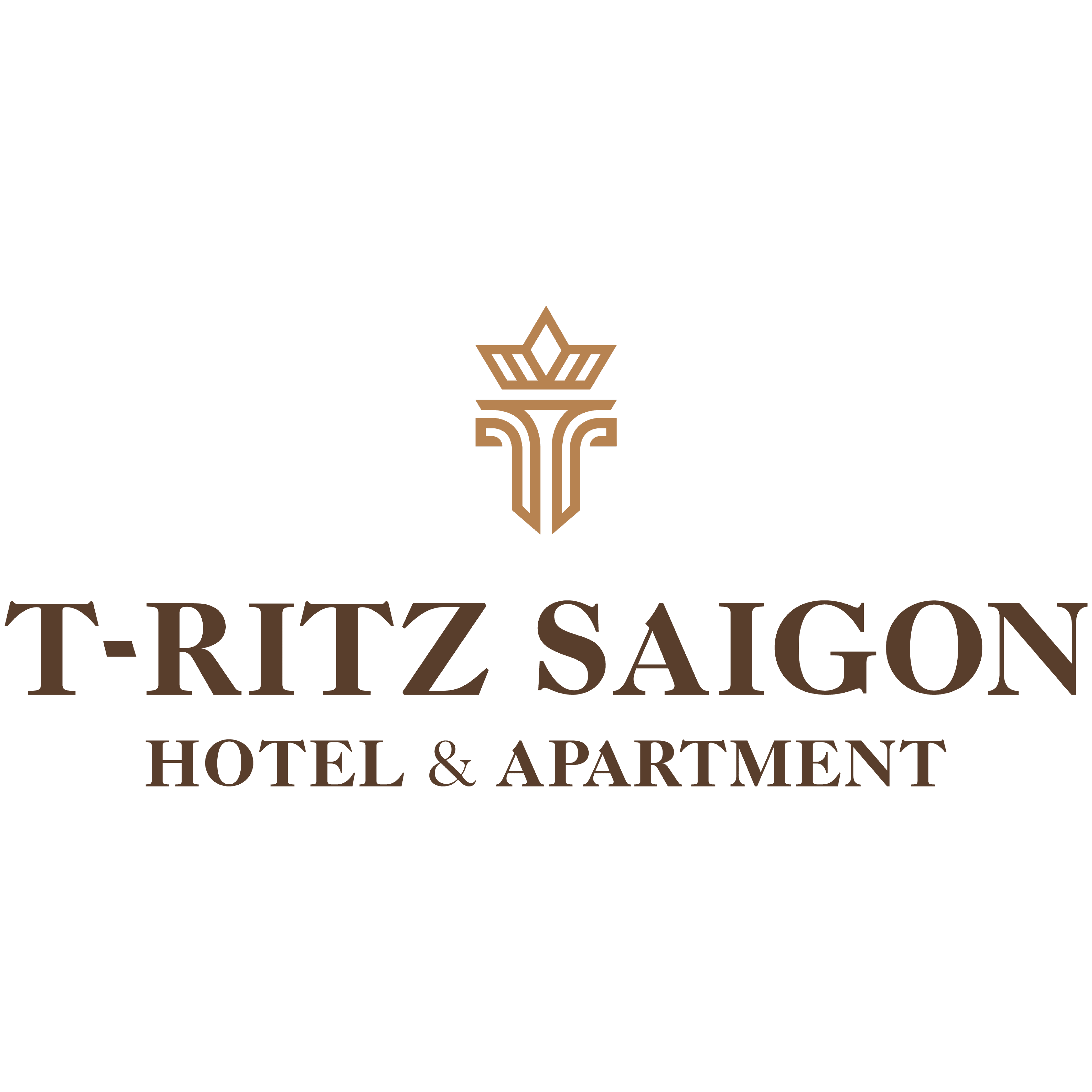 20.T-RITZ_Corporate Logo for Website_Corporate Logo on Web