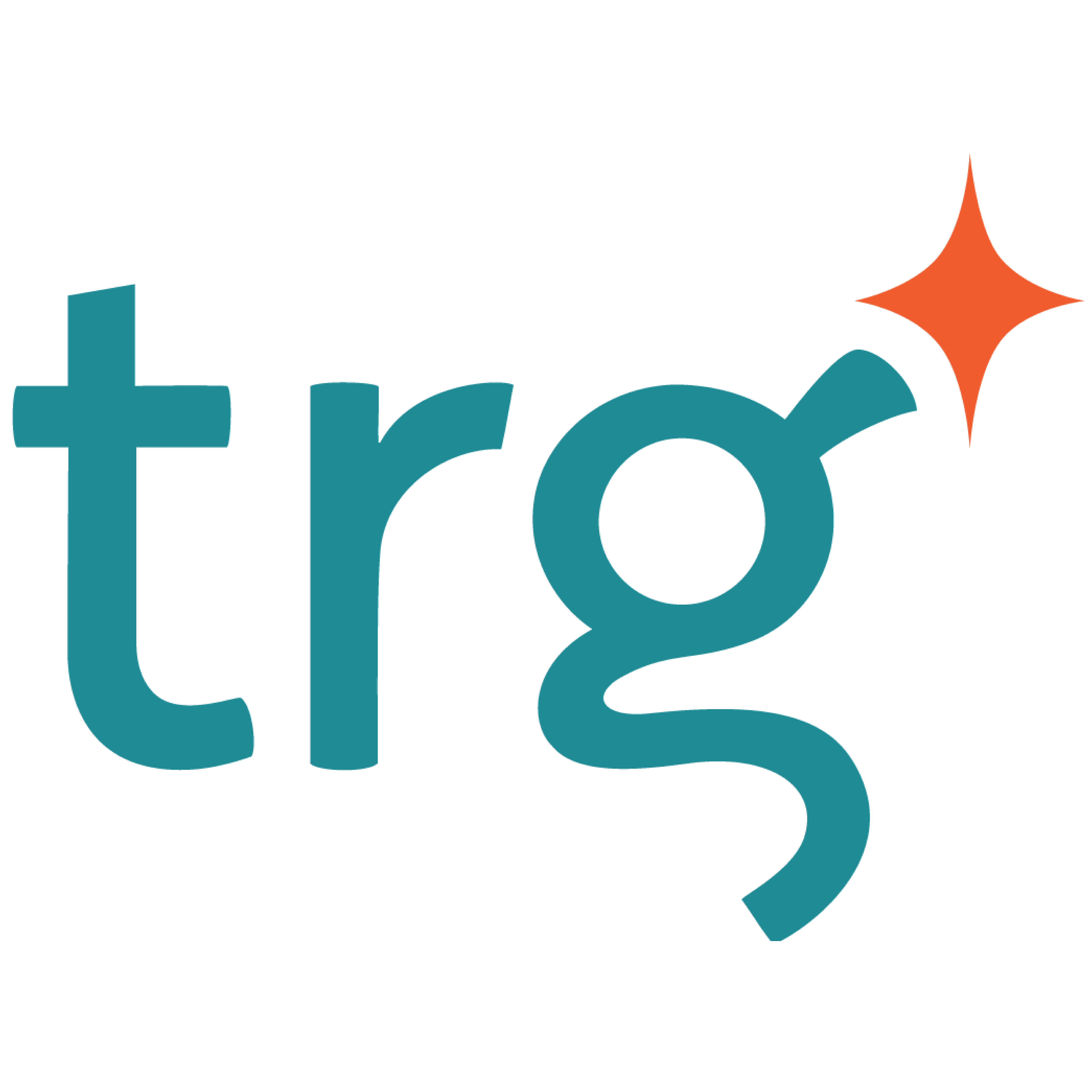 20.TRG INTERNATIONAL_Corporate Logo for Website_Corporate Logo on Web