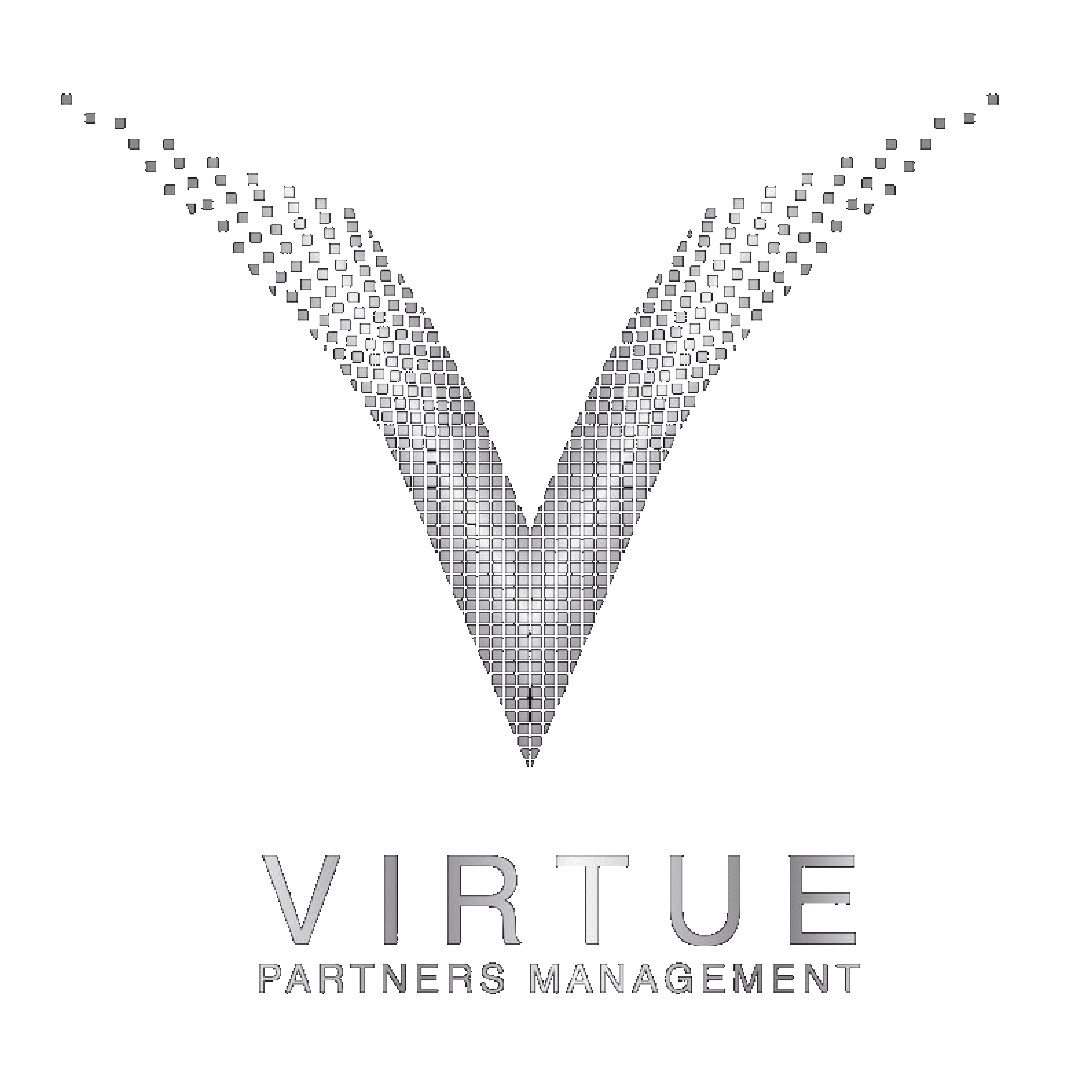 22.VIRTUE_Corporate Logo on Web