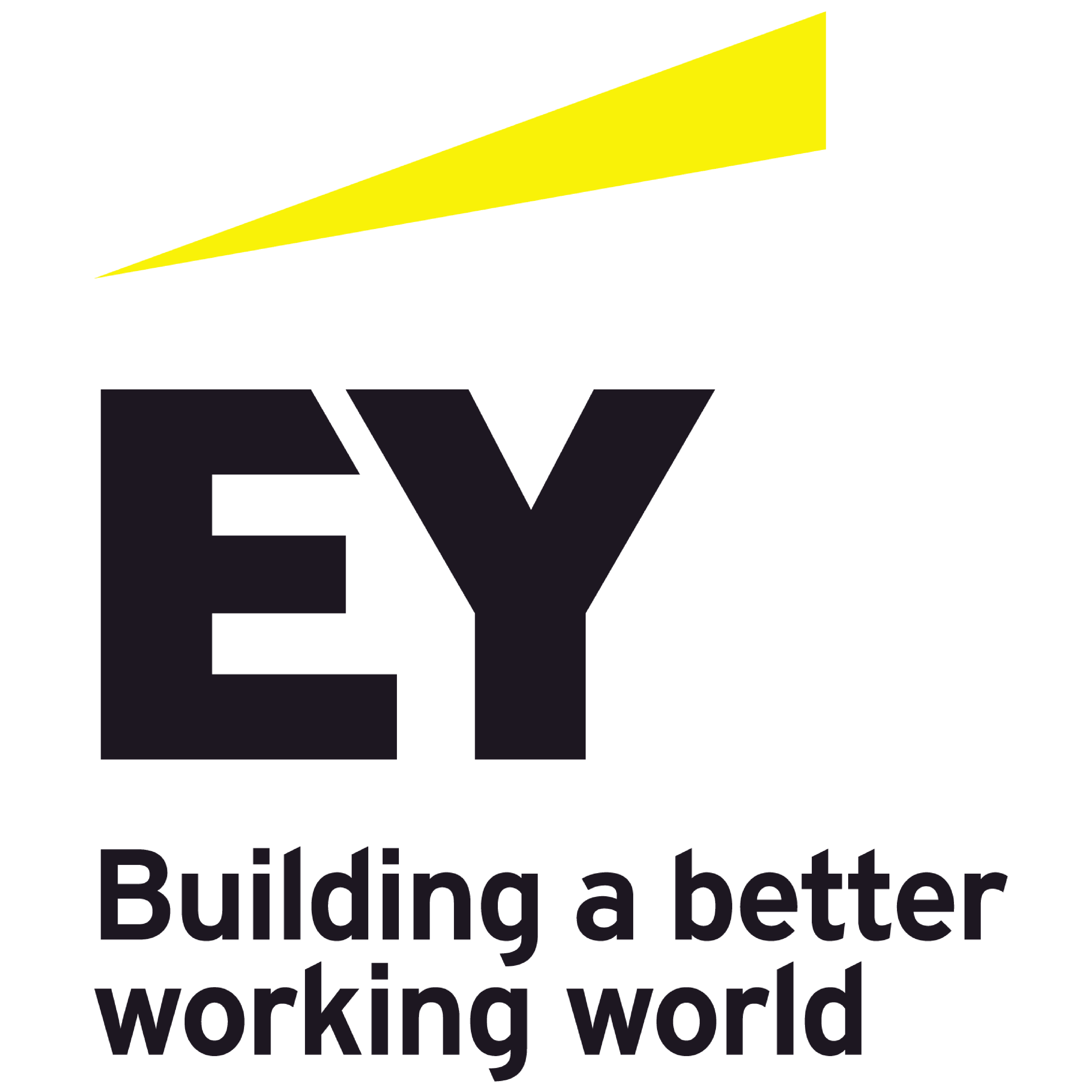 5.EY_Corporate Logo on Web
