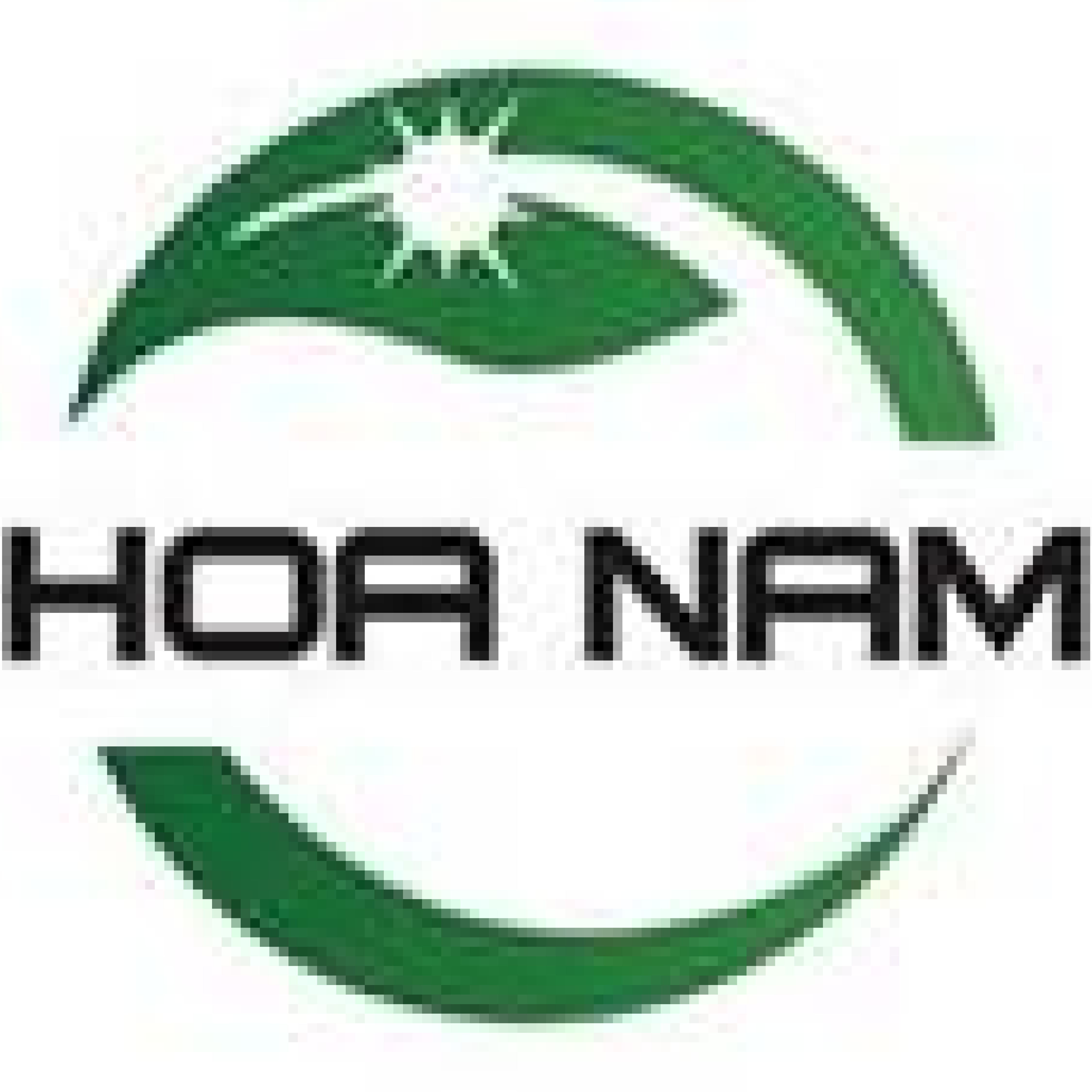 8.HOA NAM_Corporate Logo for Website_Corporate Logo on Web