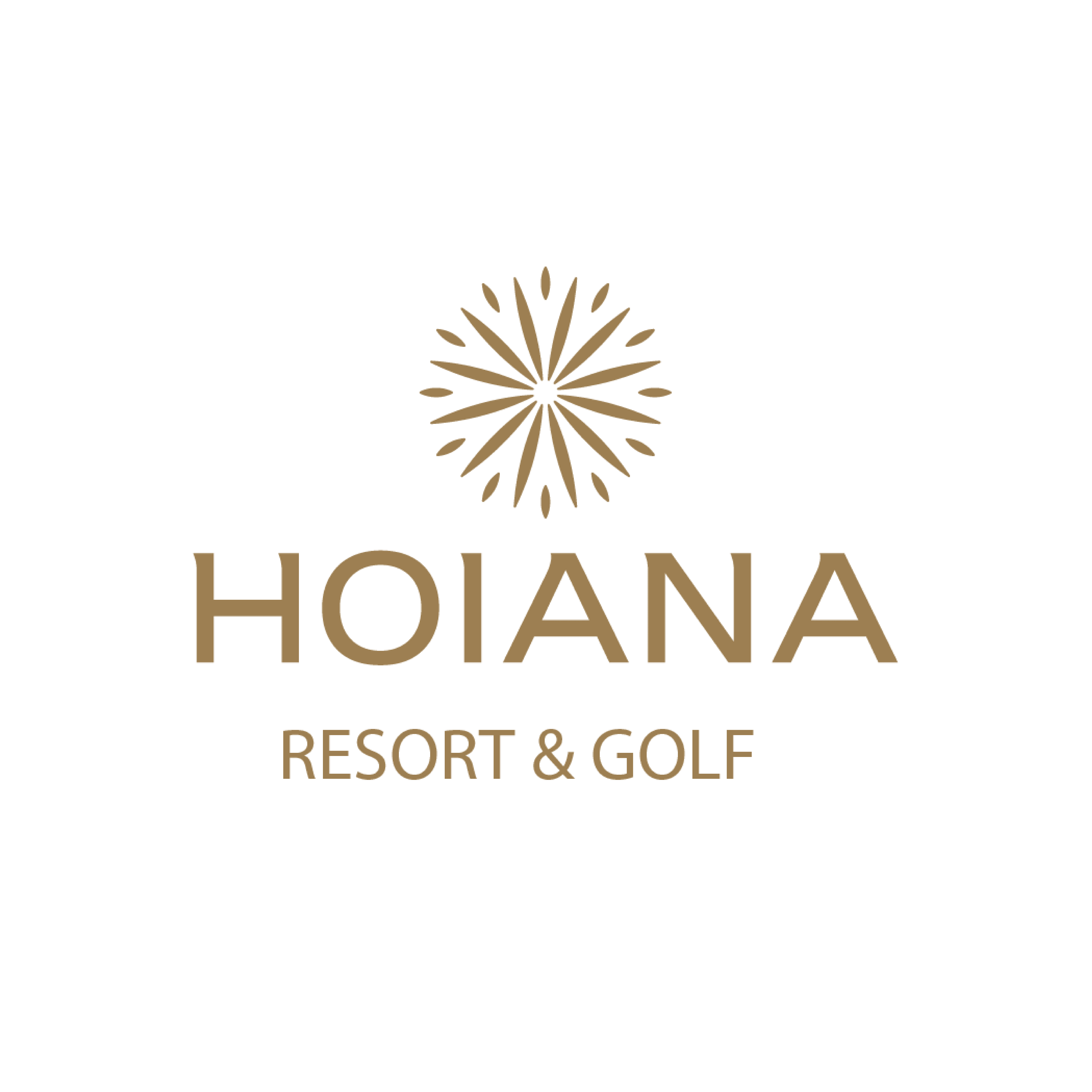 8.HOIANA_Corporate Logo for Website_Corporate Logo on Web